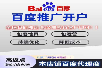 百度广告推广助力电商行业案例分析